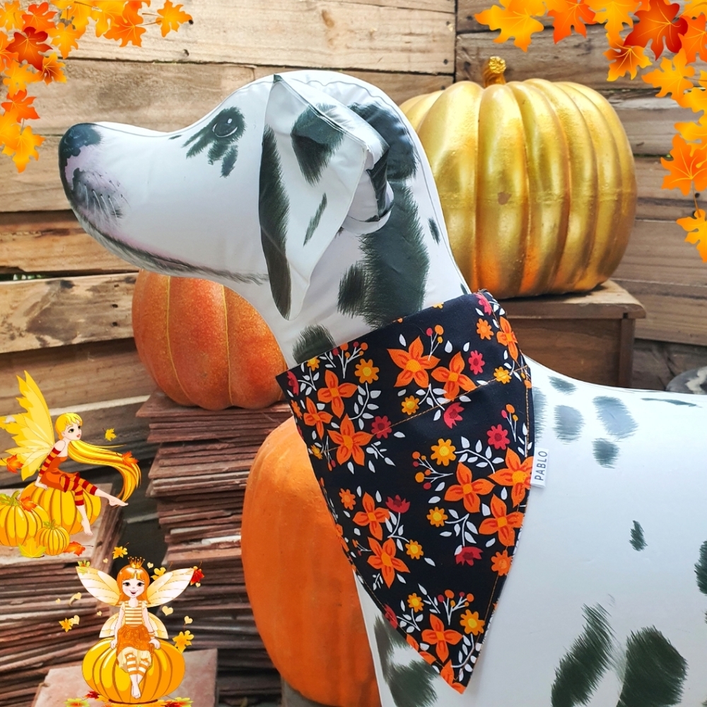 🐶 5 for $15 * Pablo Fall Floral Plaid Cotton Dog Bandana